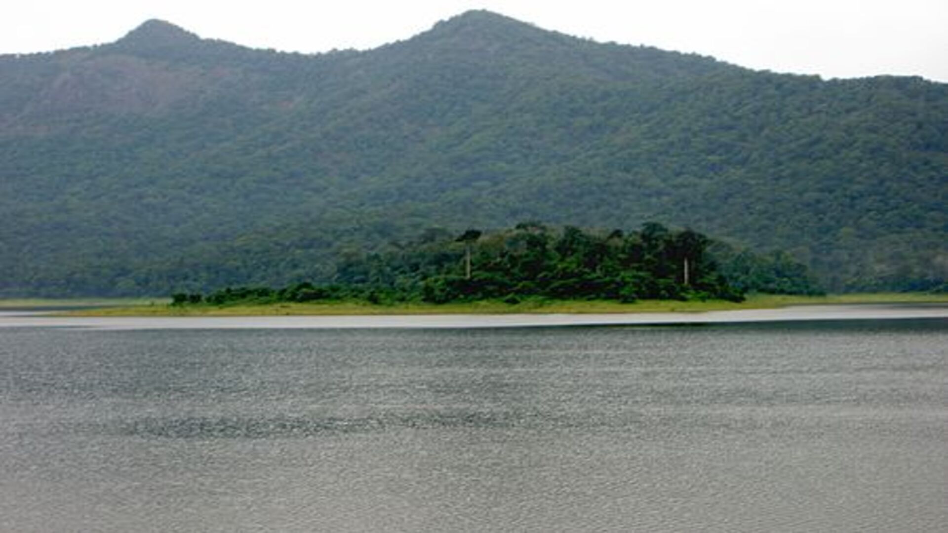 Kuttavanchi Chimmini Dam