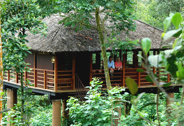 15 Best Treehouse Resorts in Kerala
