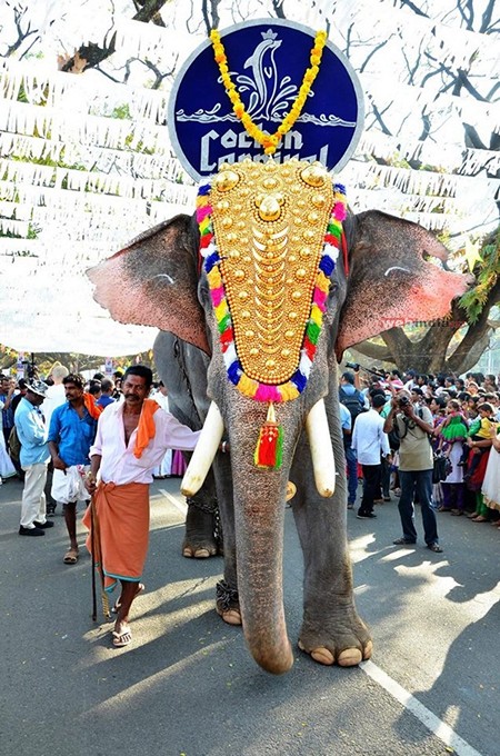 cochin-carnival-kerala-new-year-celebratio-01