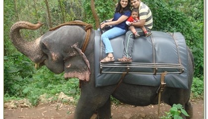Rishi Vijay riding on an elephant with family!