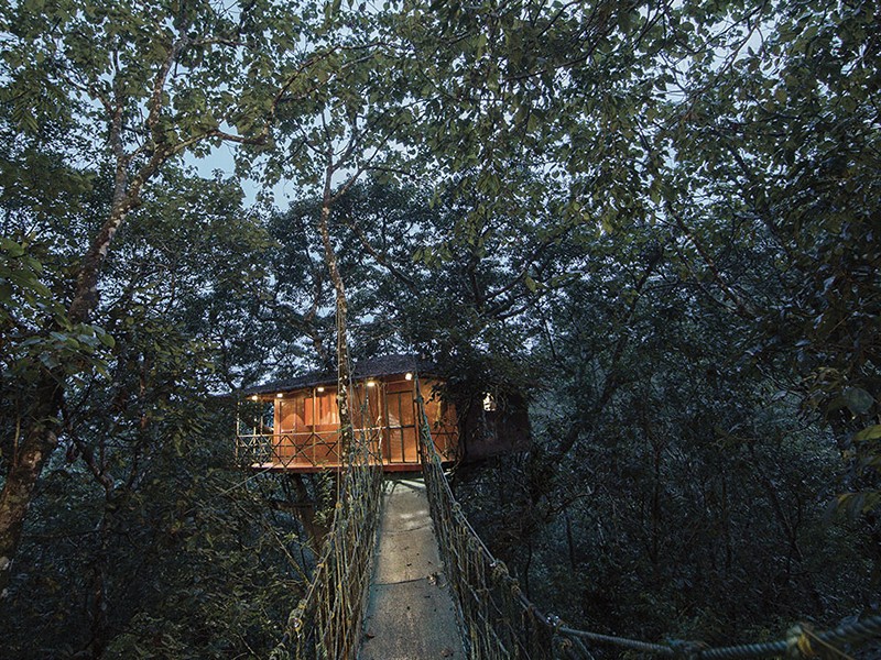 vythiri-resort-wayanad-treehouse