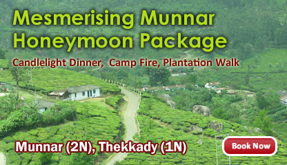 Misty Munnar Holiday Package 